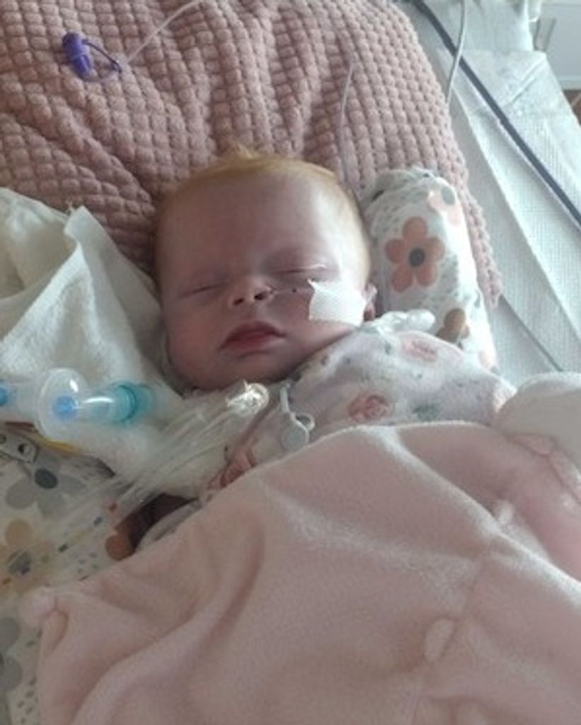 Harley Jayne Pannell