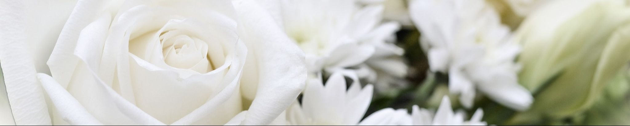 Cover photo for Mary Ann Shambro Love's Obituary