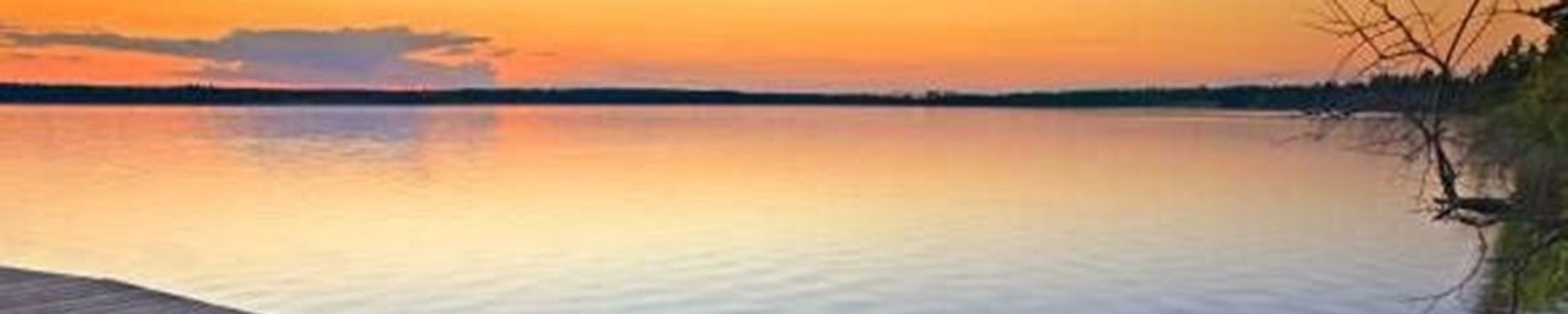 Cover for Stacy L. Cooper's Obituary