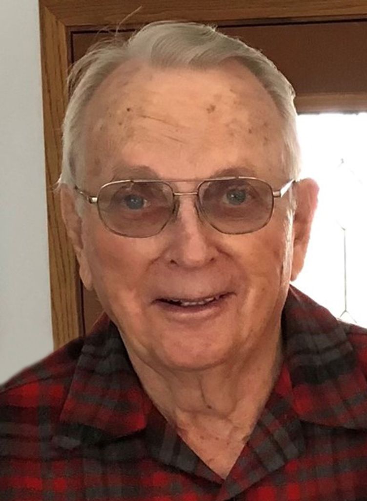 Lewis Calkins