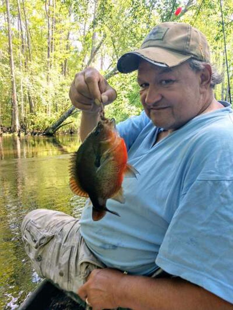 Kent Williamson