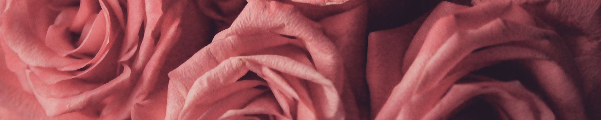 Cover photo for Deloris Allen's Obituary