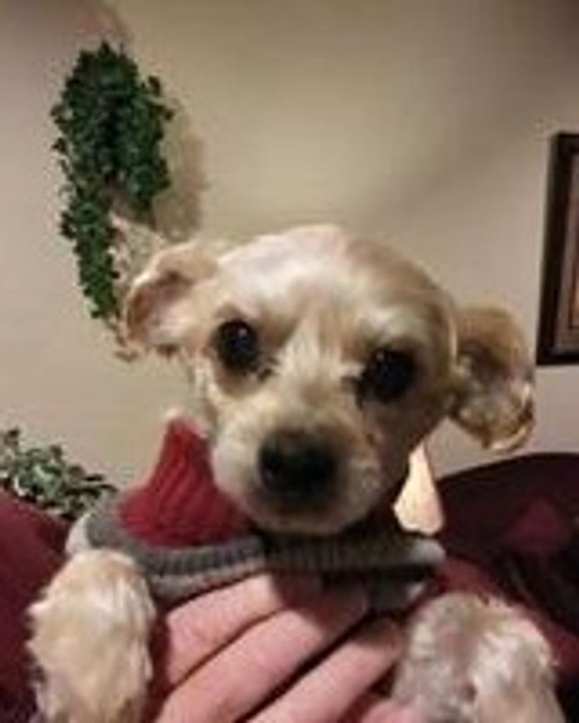 Rocky Nelson Profile Photo