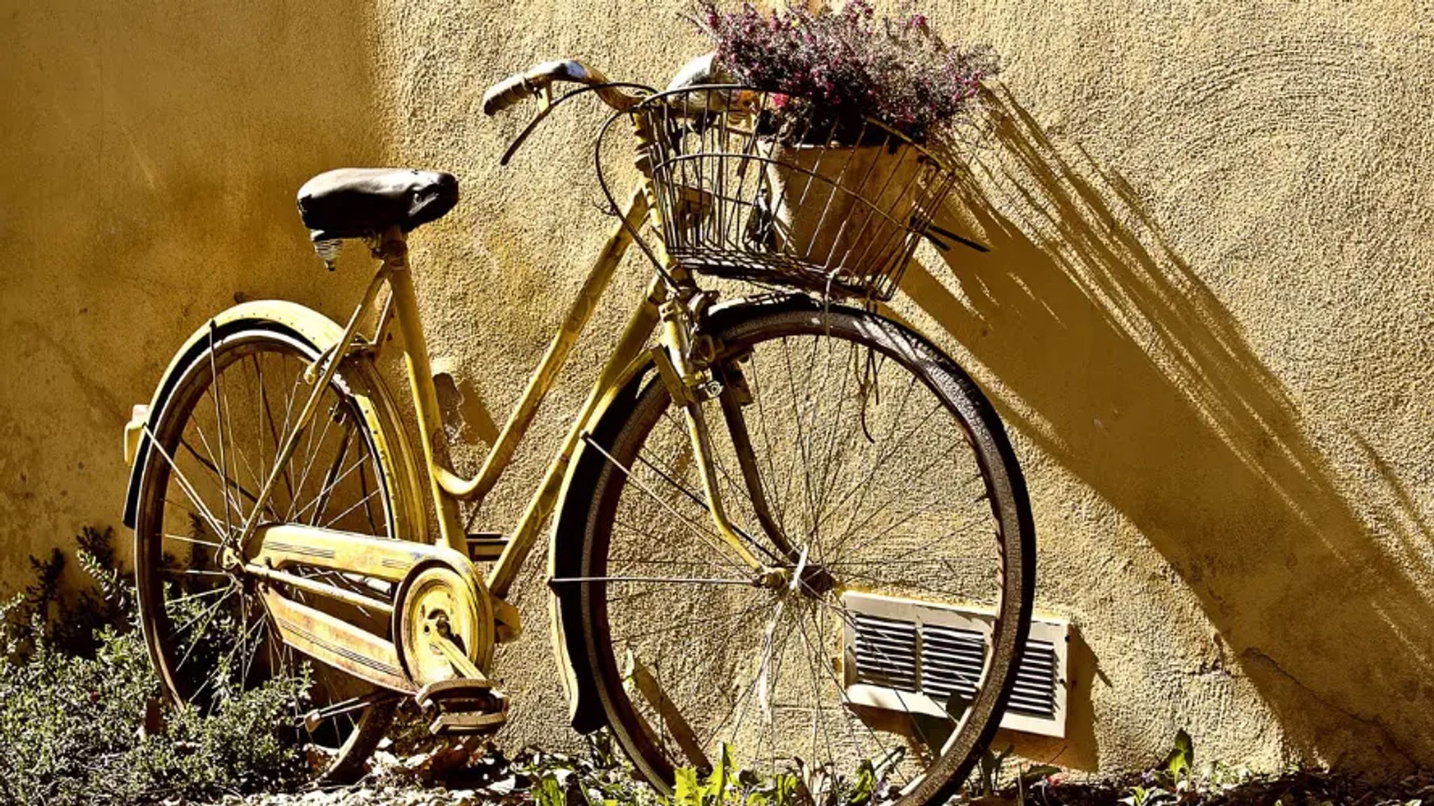 Cover for Kent Edward Bragdon's Obituary