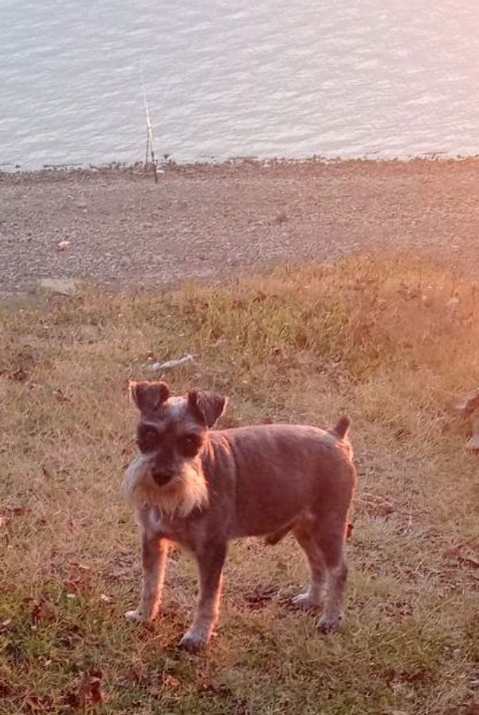 Baxter Profile Photo