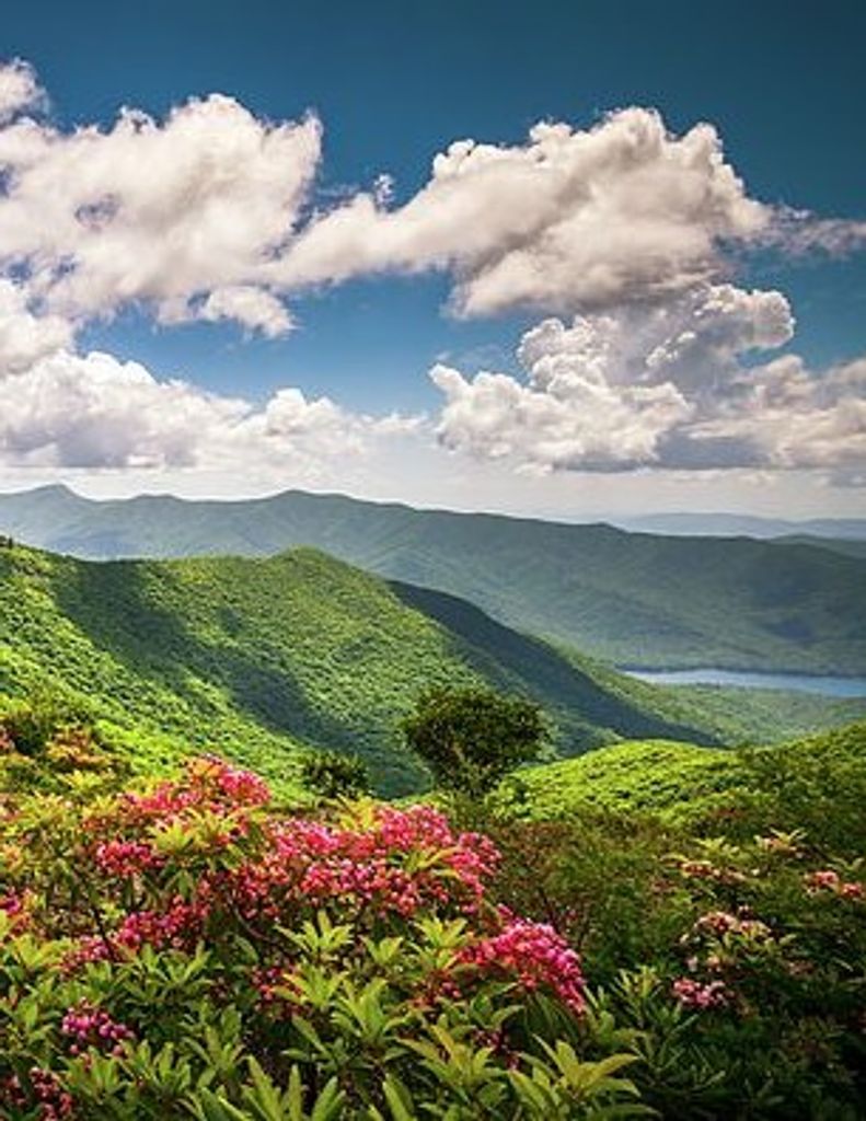 Benjamin Roosevelt Faust Profile Photo