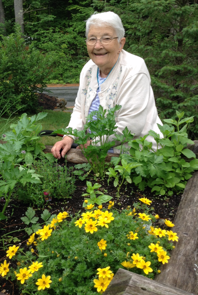 Rita D. Dowd Profile Photo