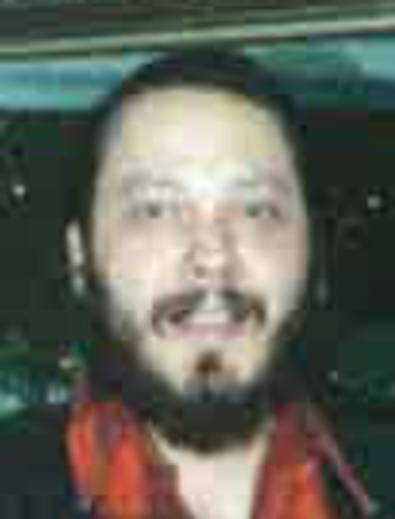 Robert Lorin Mcelveen