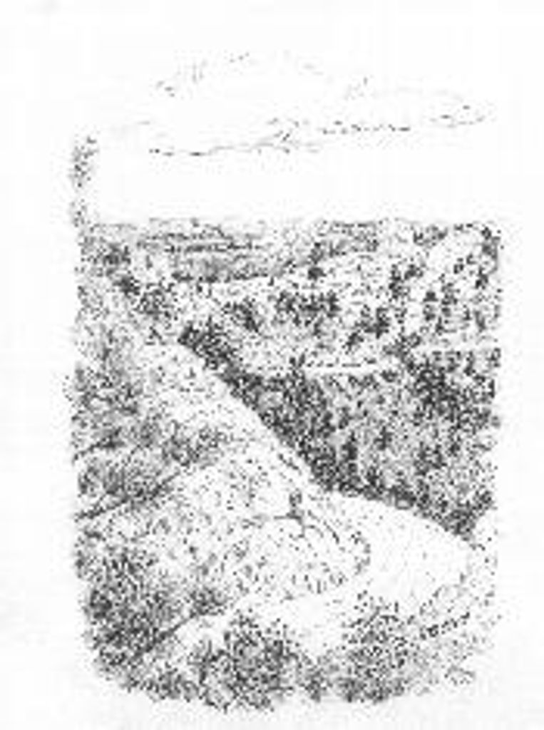 Rose Marie Horselooking Knox