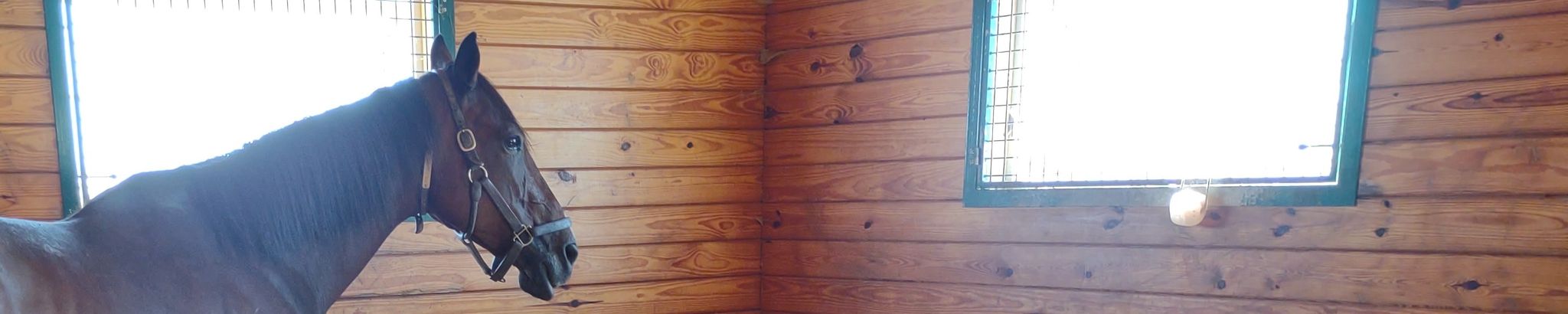 Cover for Daniel Joseph Van Buskirk's Obituary