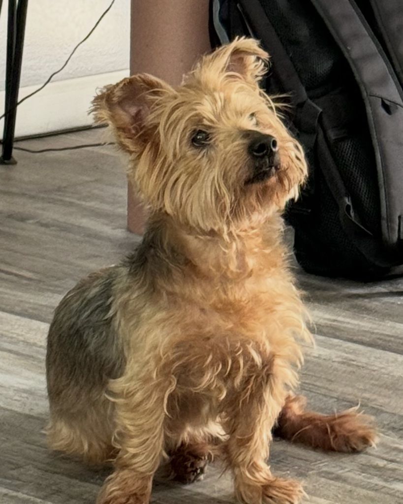 Jaxson Profile Photo