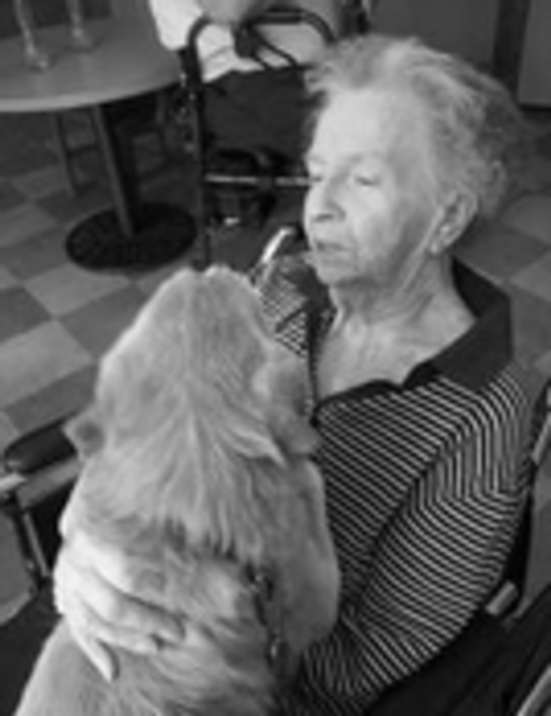 Dolores H. (Casey) Anderson