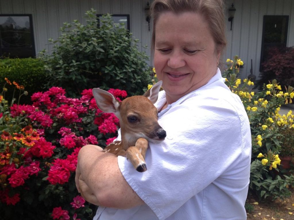 Dorothy Estelle Kattegat