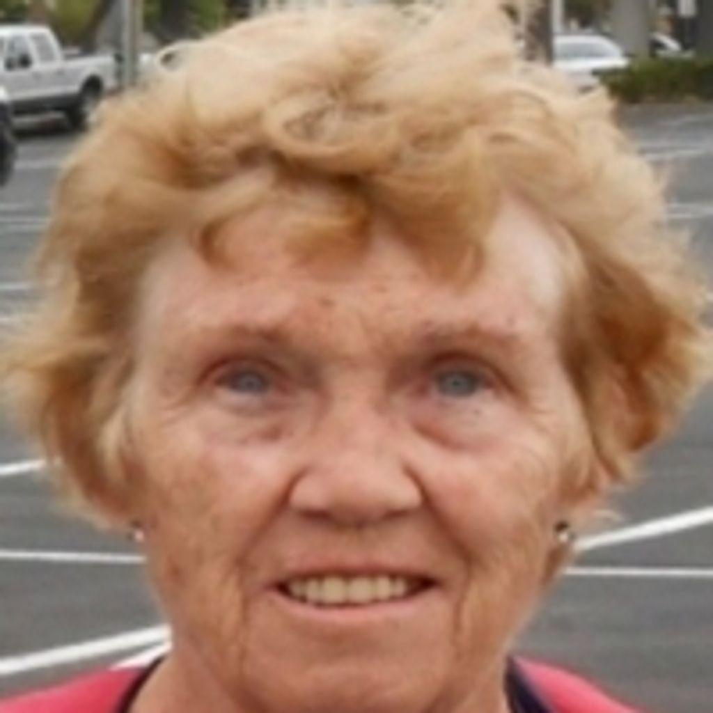 Virginia E Mcgrath