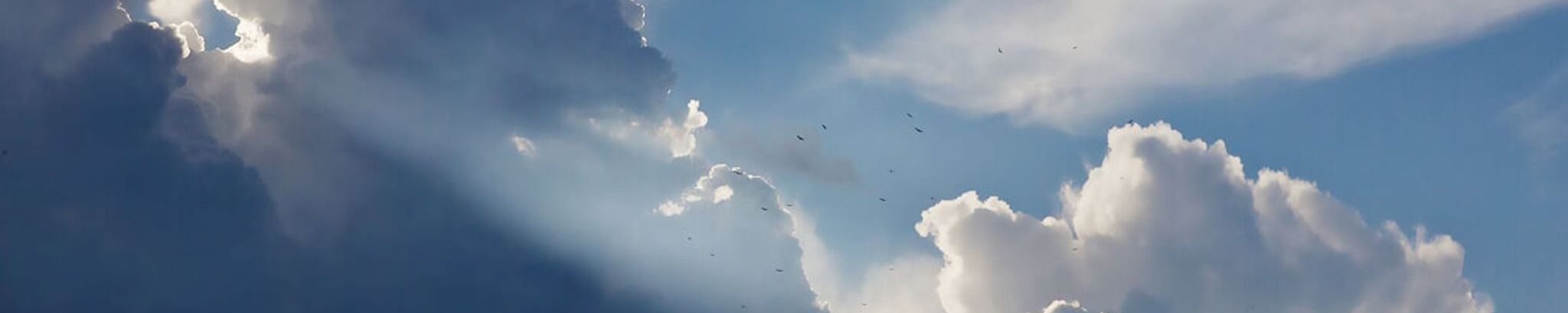 Cover photo for Sonia Rosales Diaz's Obituary