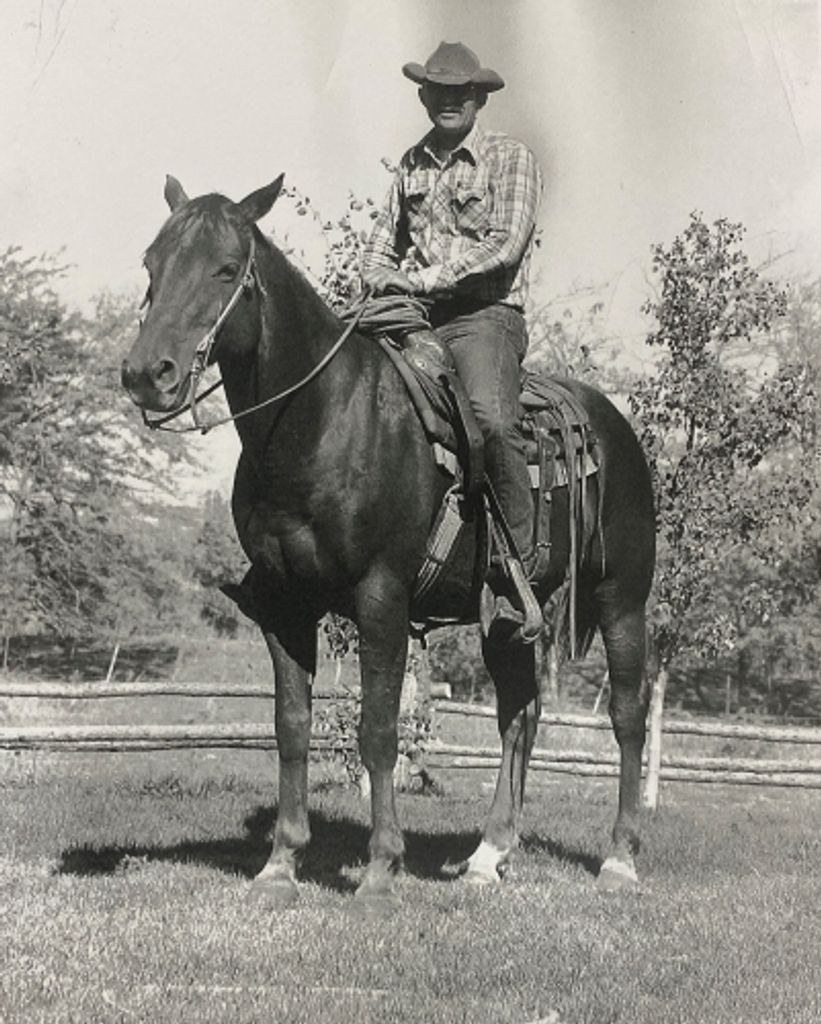 Donald M. Schmitt