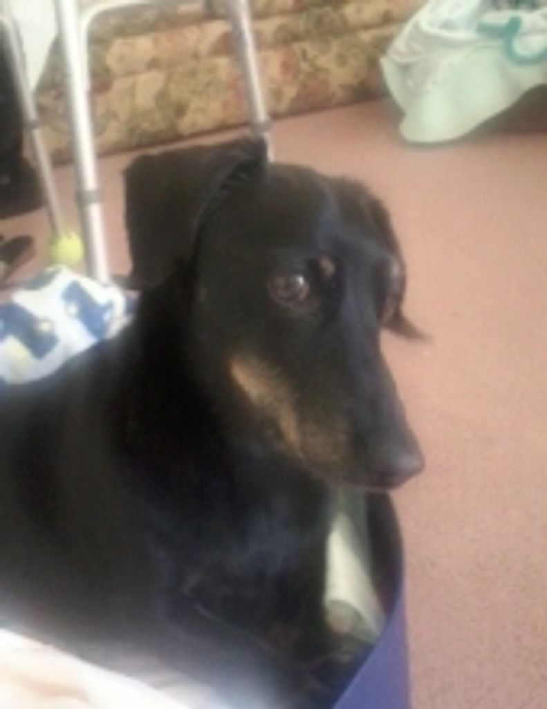 Rocky Pickett Locklear