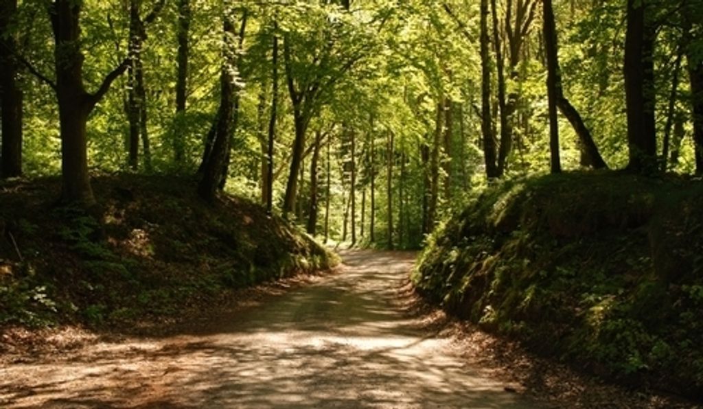 Mr William Edward Keller Profile Photo