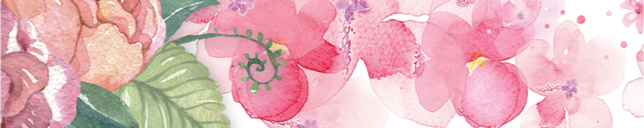 Cover photo for Nancy J Coplin's Obituary