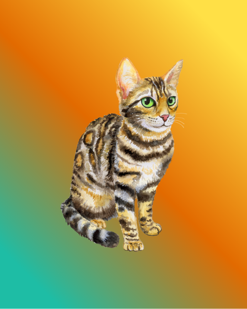 Burrow Sheldon Profile Photo