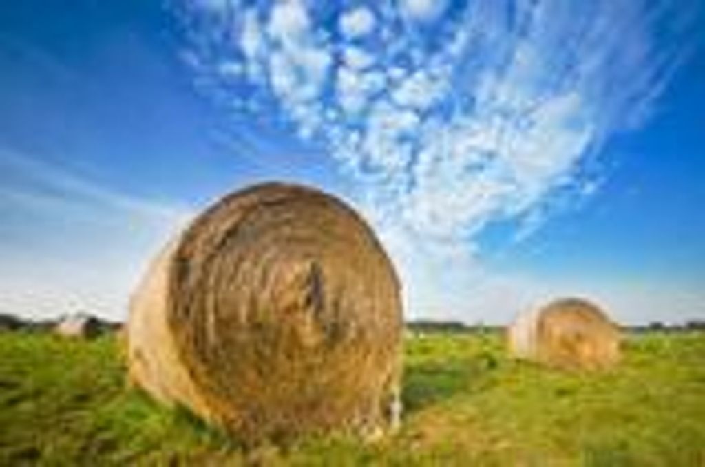 John R. Gorney Profile Photo