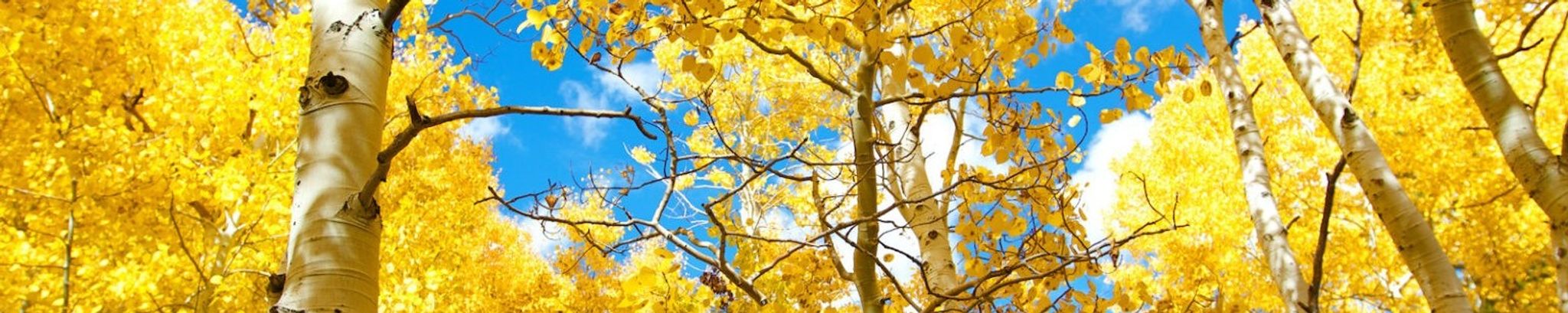 Cover for Kay "Mimi" Hughes's Obituary