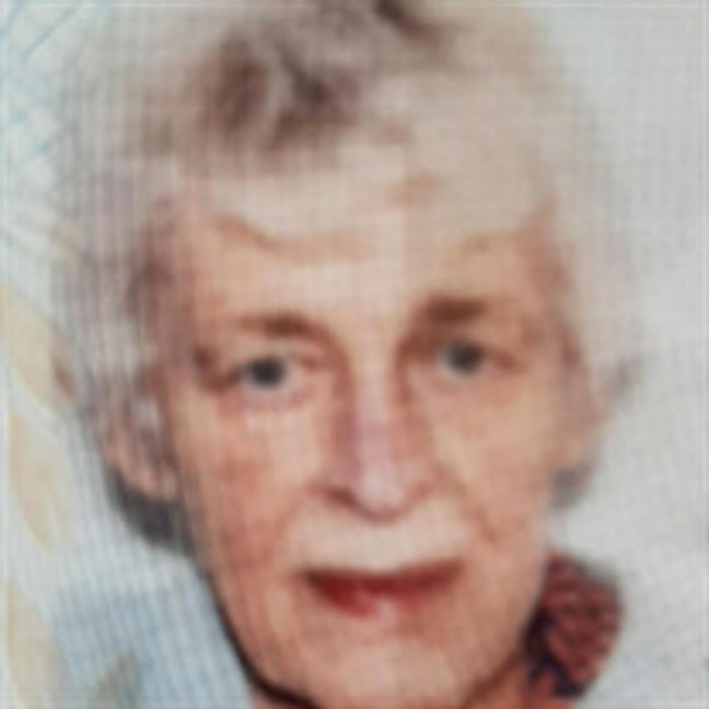 Sandra L. Hildebrandt-Tomlin