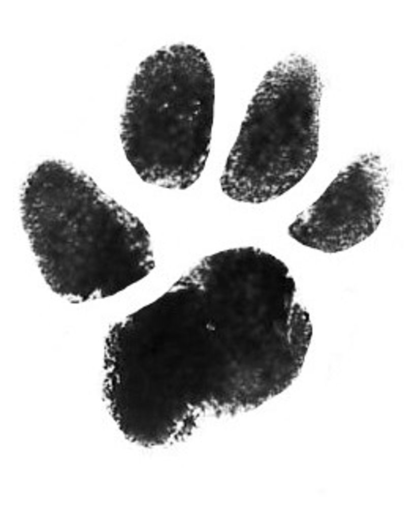 Cole Alexander Profile Photo