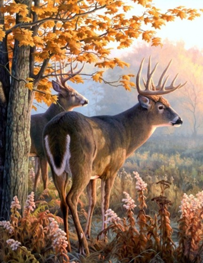 Warren Slater, Sr Profile Photo