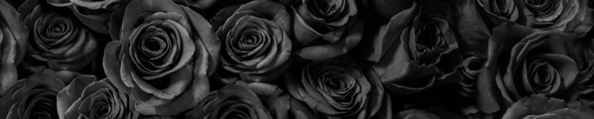 Cover for GABRIEL BROWN's Obituary