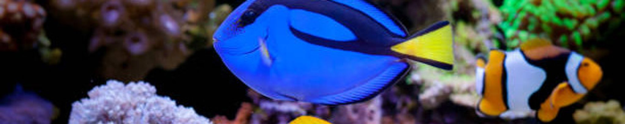 Cover for Jeffrey "Jeff" Alan Garver's Obituary