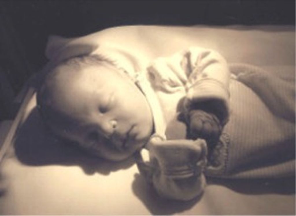 Clayton Jayden Palmer