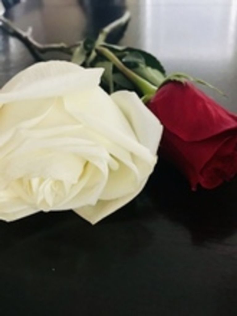 John M. Kienzle Jr. Profile Photo