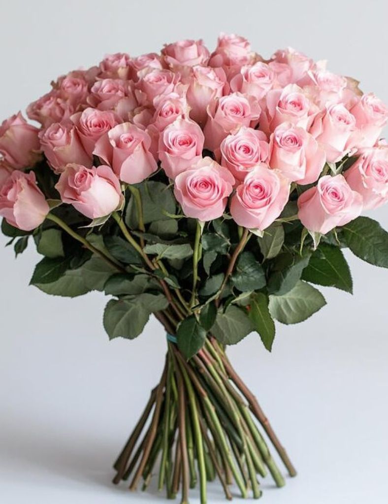 Lois Lee Hill Profile Photo