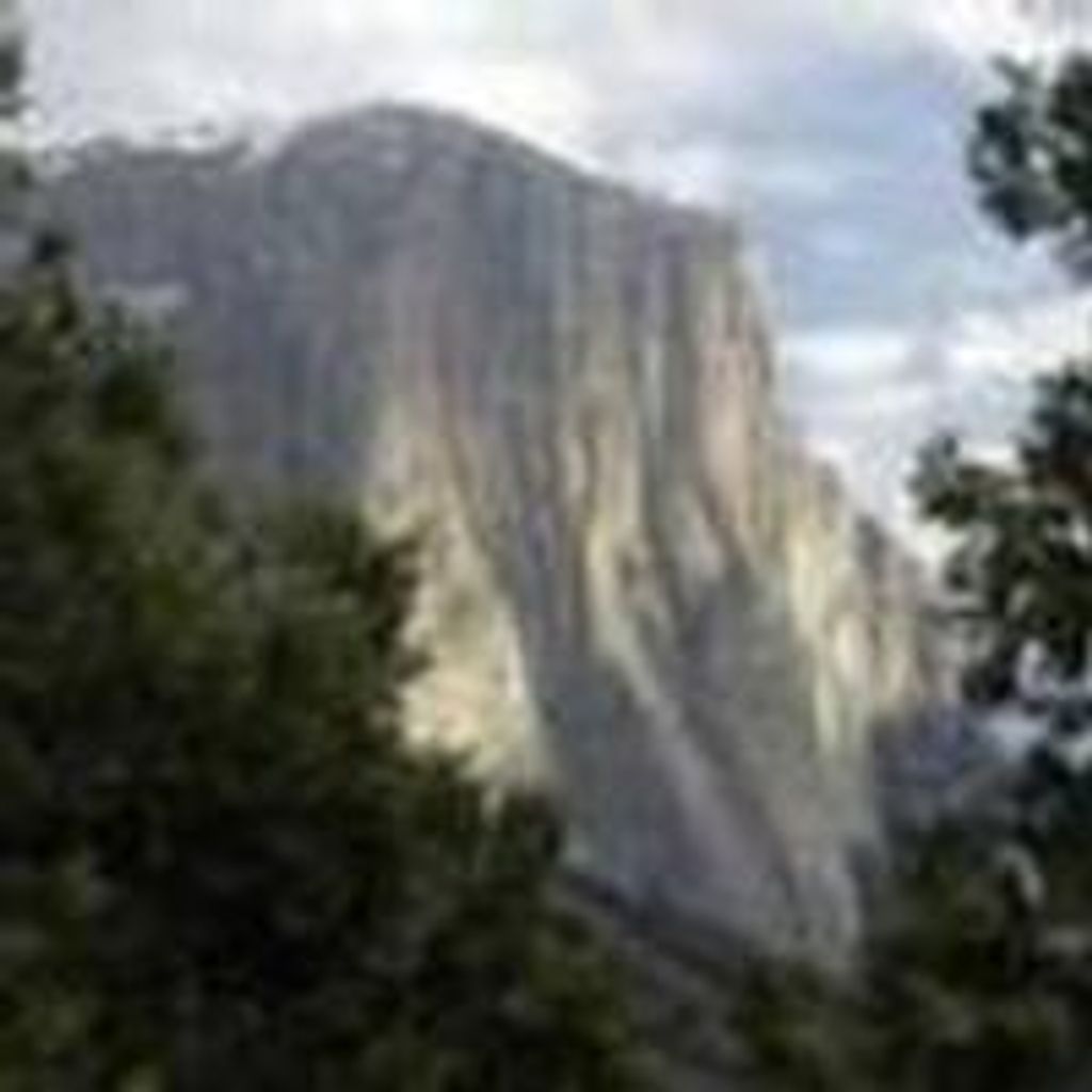 Dennis  Robbie Harrison