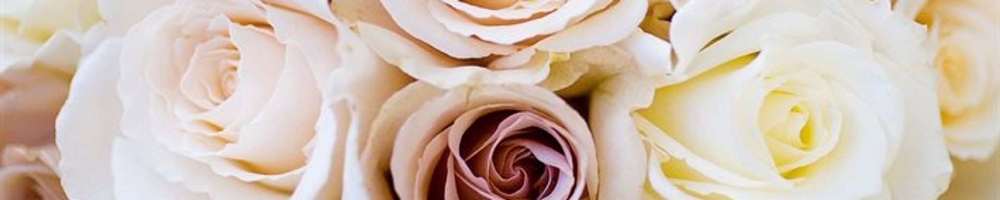 Cover photo for SHARRON RENA FRANKLIN's Obituary