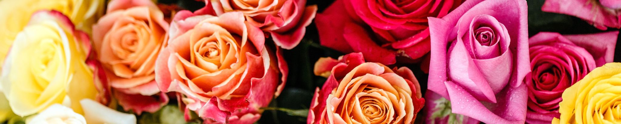 Cover for Coleen DeEtte Ingerle's Obituary