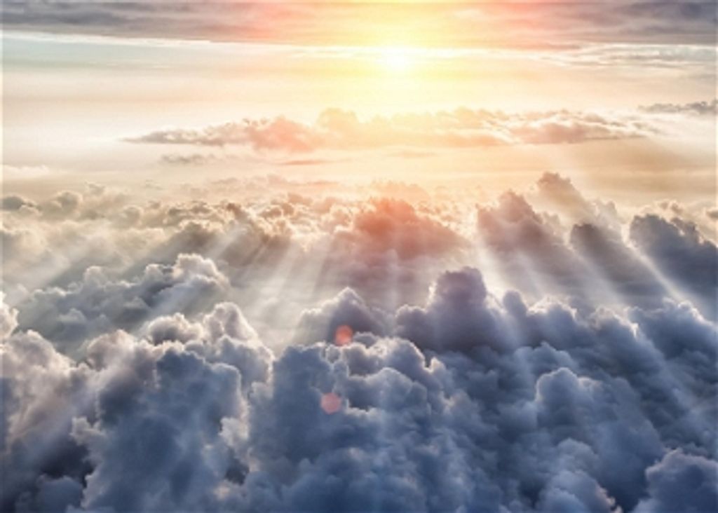 Trisha Jean Ann Marie Stone Profile Photo