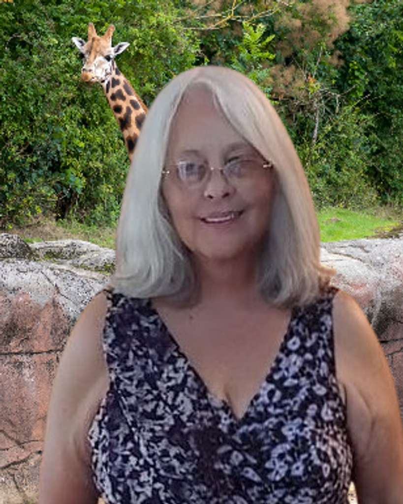 Ginger Lee (Casselman) Webb Profile Photo