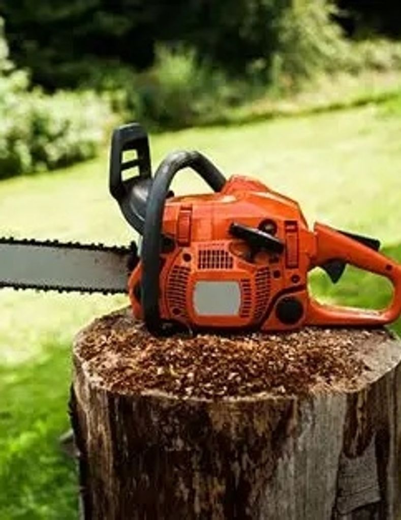 David John  Phillips Profile Photo