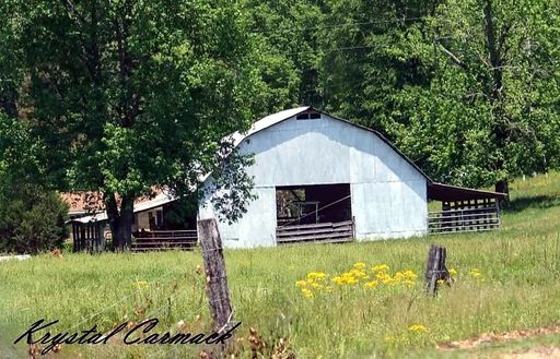 William Clayton Whitaker photo gallery thumbnail 82 of 88