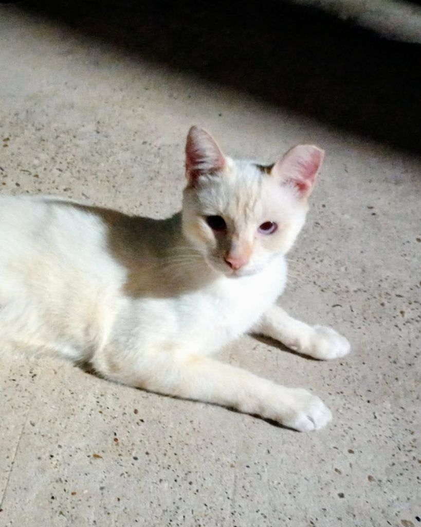 Junior 🖤 Profile Photo