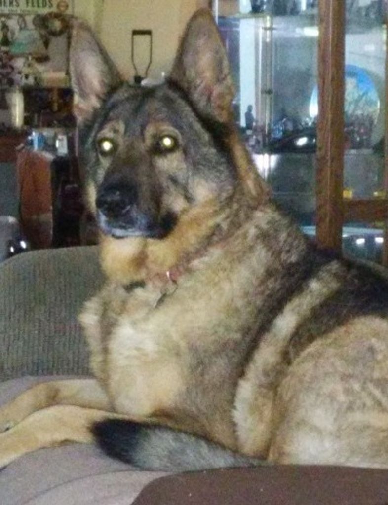 KyCzar Susse' DeWalt Profile Photo