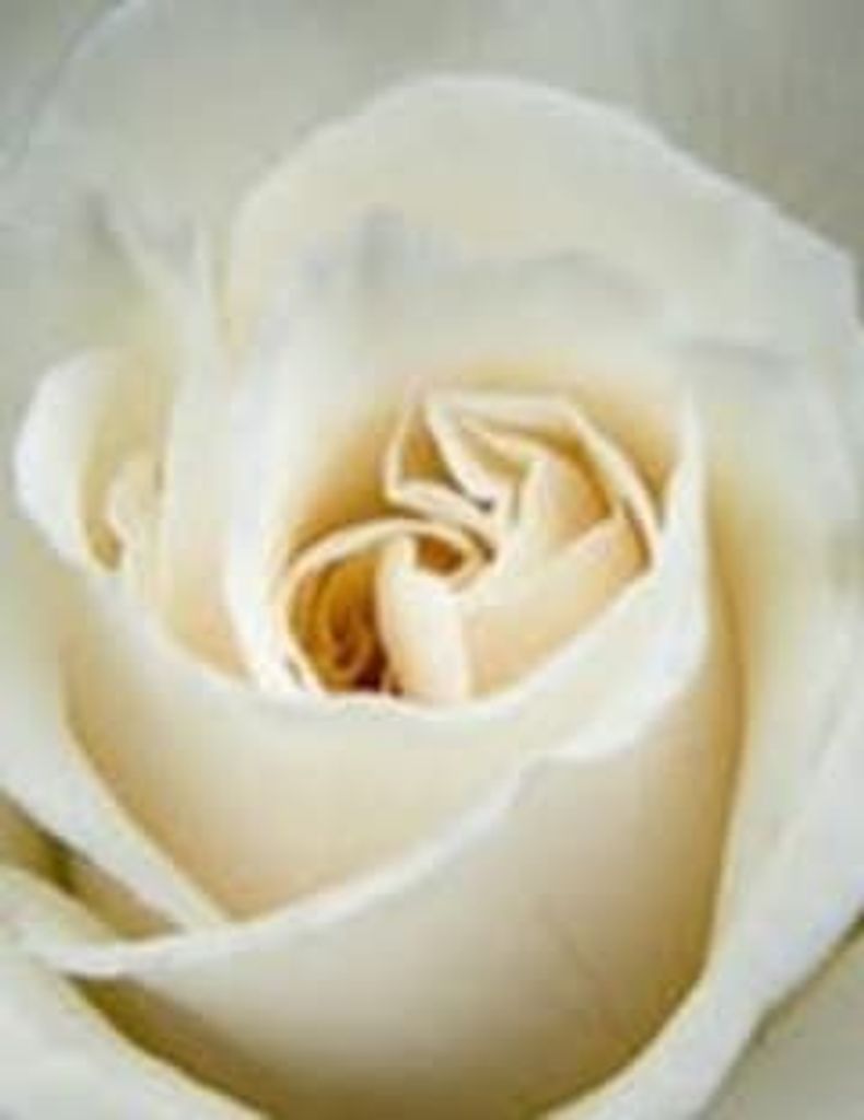 Bruce Lott Profile Photo