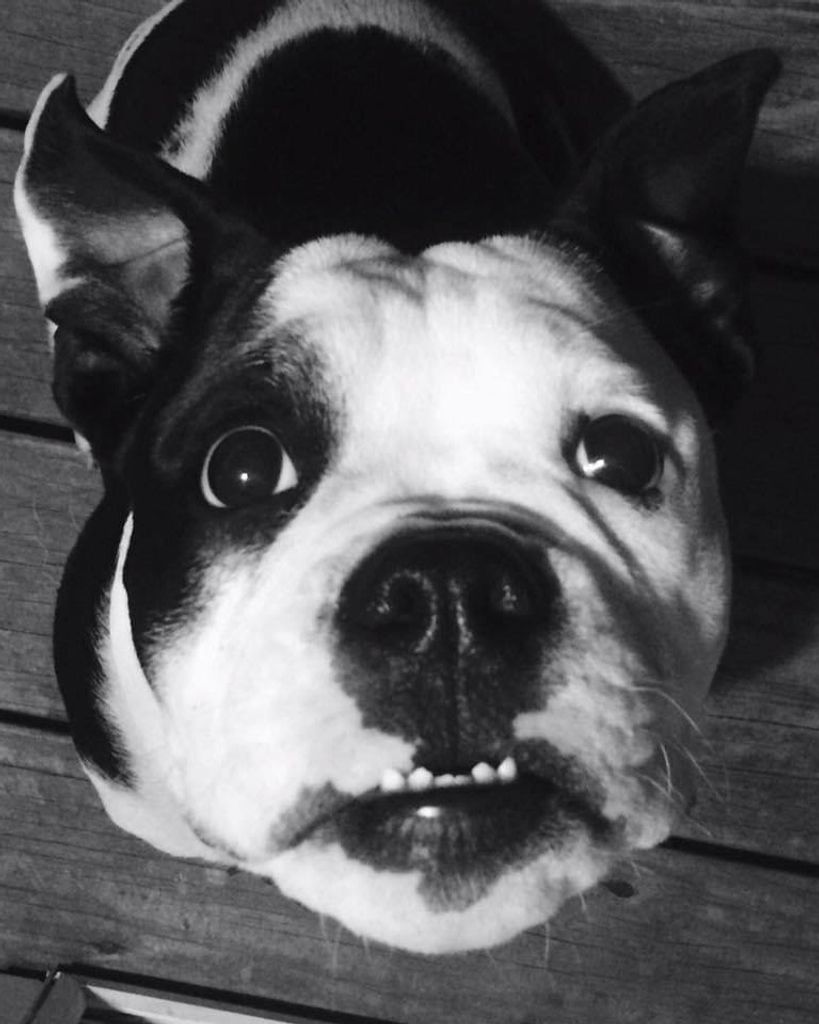 Opie Geyer Profile Photo