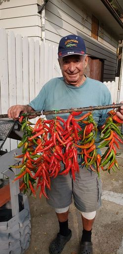 Luigi Umberto DiSanto photo gallery thumbnail 90 of 142