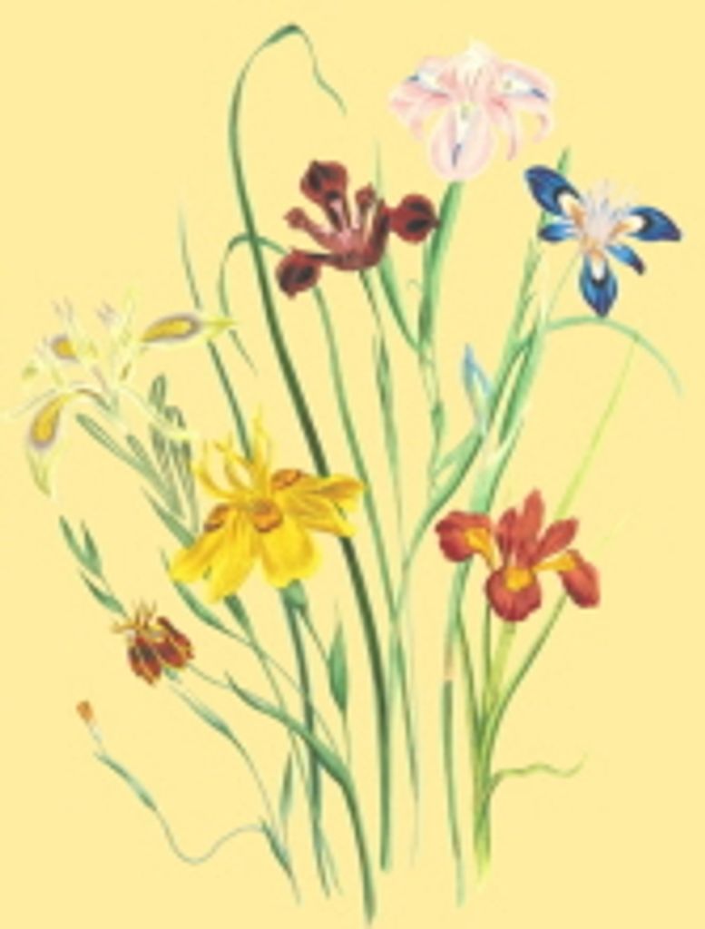 Margit Marianne Bueckert