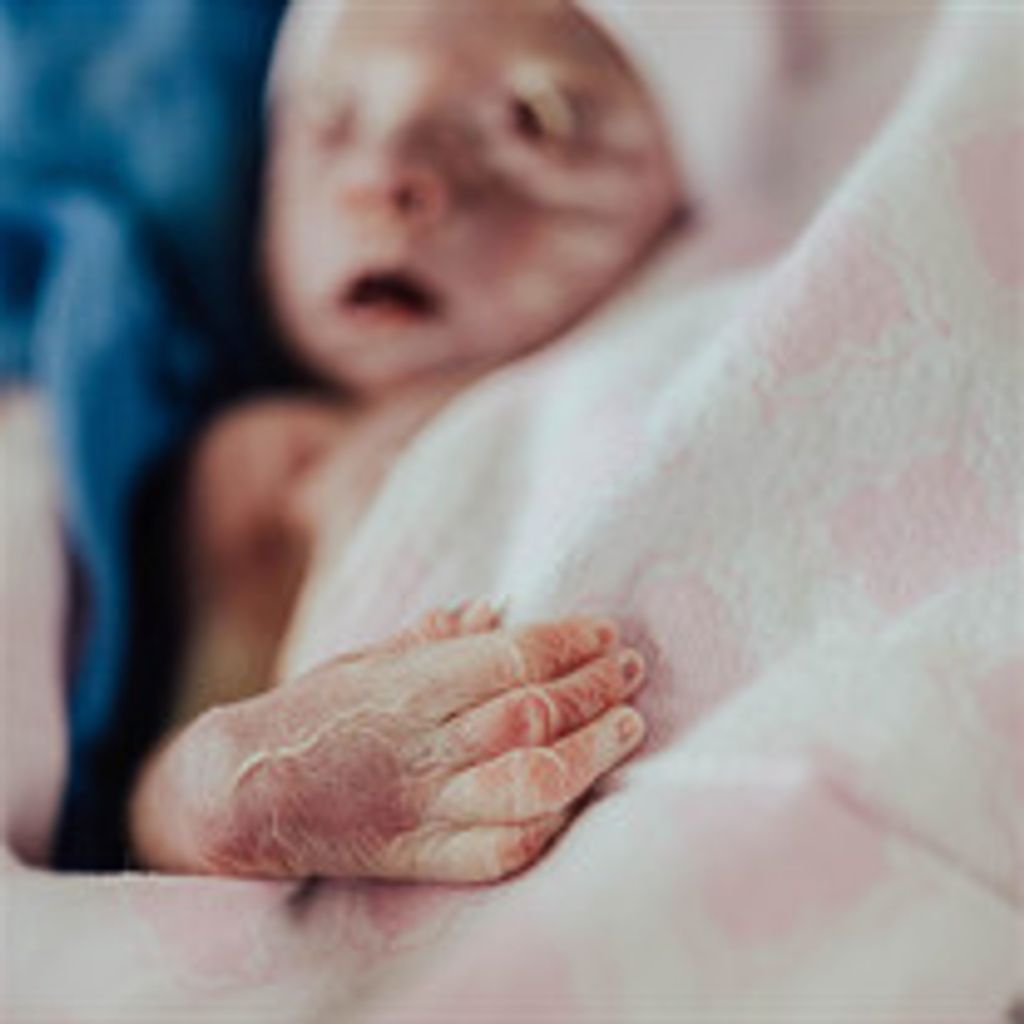 Sofia Rose Garza