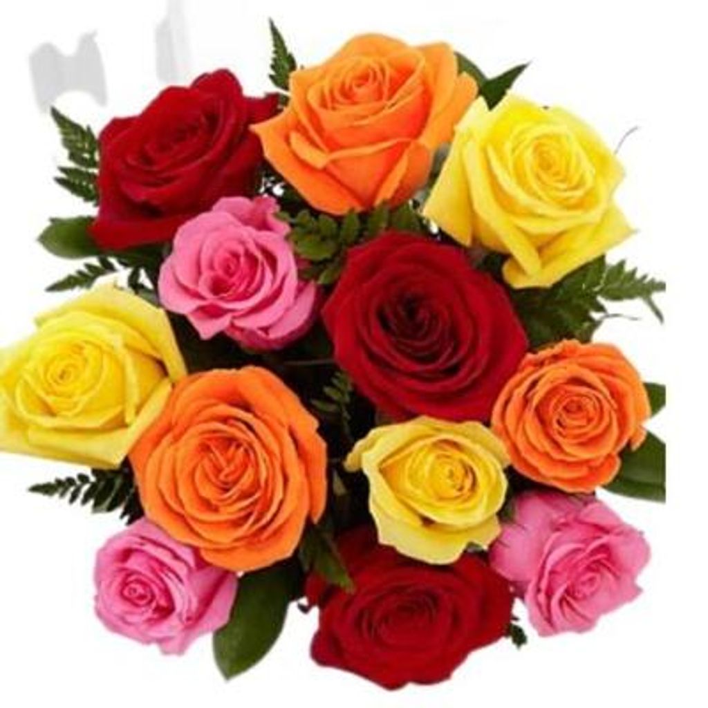 Euva Kathleen Frame Profile Photo