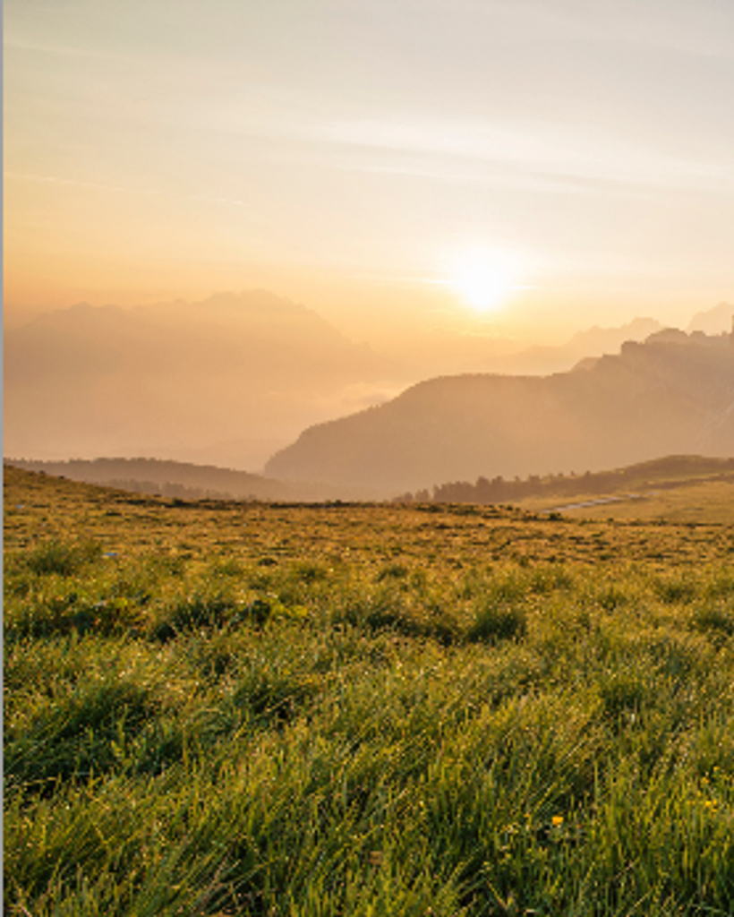 Quincy Poe Profile Photo